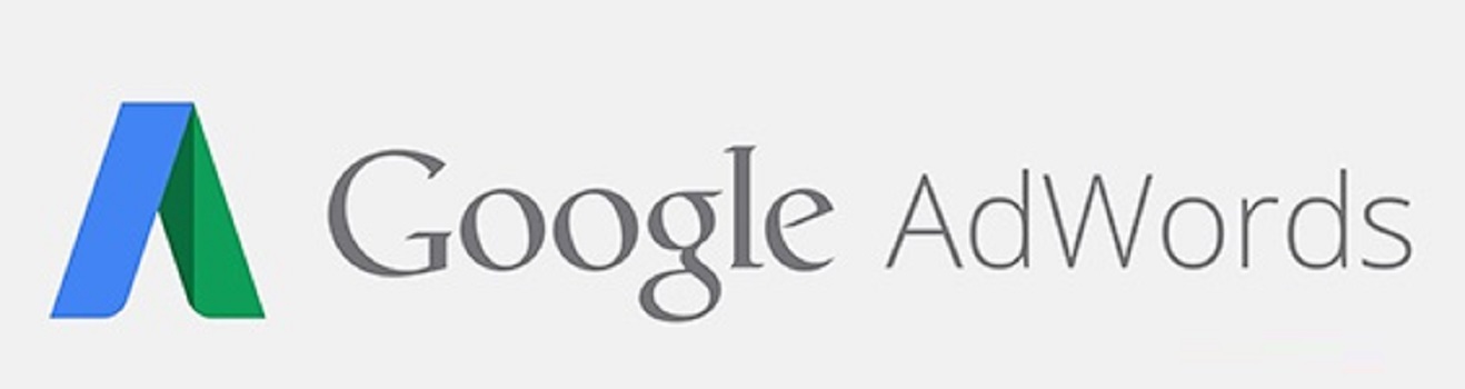 Google Adwords Reklam Uzmanı